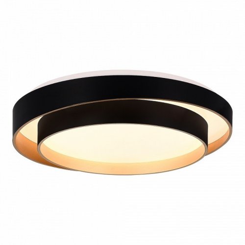 Потолочный светильник Evoluce Crosby SLE6009-402-01 Потолочный светильник Evoluce Crosby SLE6009-402-01