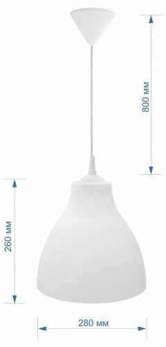 Подвесной светильник Apeyron Electrics НСБ21-60 НСБ21-60-002