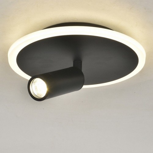 Настенно-потолочный светильник Escada 20046LED 20046SMA/01LED BK