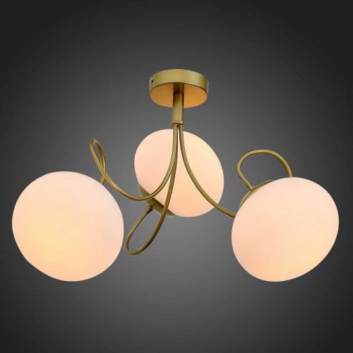 Потолочная люстра ST Luce Acini SL717.202.03