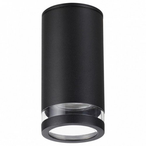 Потолочный светильник Odeon Light уличный Motto 6605/1C Потолочный светильник Odeon Light уличный Motto 6605/1C