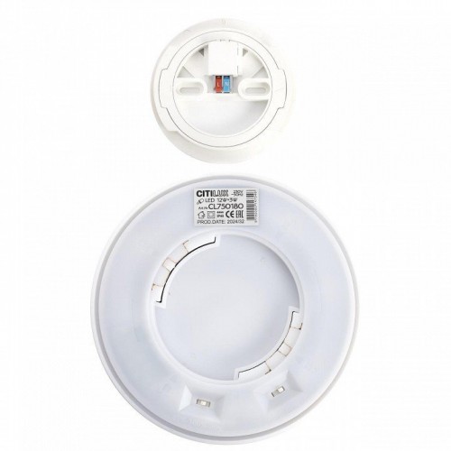 Настенно-потолочный светильник Citilux Etalon CL750180