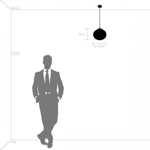 Подвесной светильник Lightstar Arnia 805016 Подвесной светильник Lightstar Arnia 805016