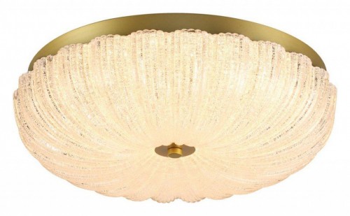 Потолочный светильник Sonex Tesoro 7719/48L