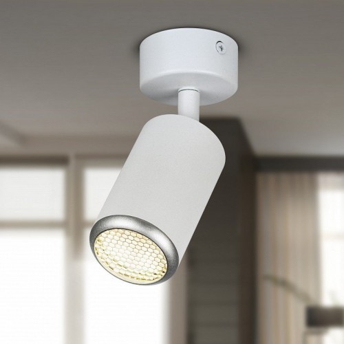 Спот Эра  OL55 WH/SL