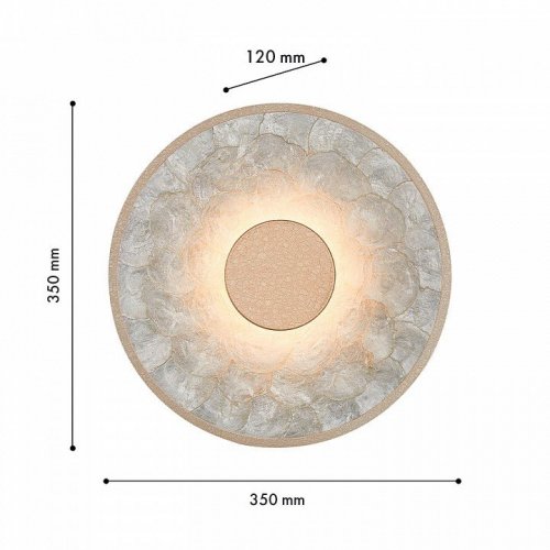 Накладной светильник Favourite Solarius 4858-1W