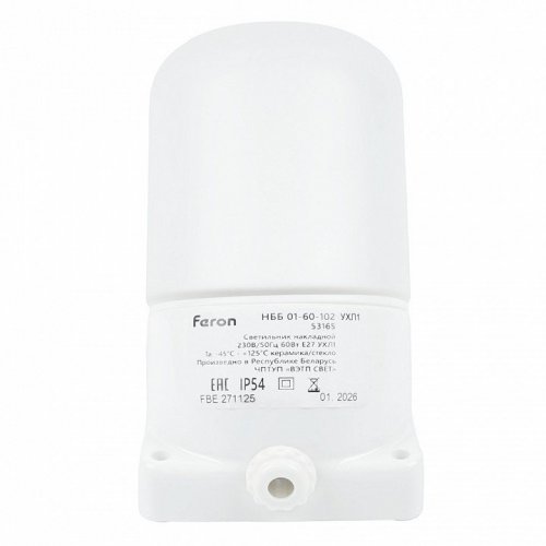 Настенно-потолочный светильник Feron НББ 01-60-102 53165