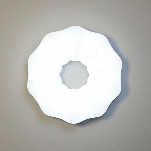 Потолочный светильник Zortes Soft ZRS.1118.2 Потолочный светильник Zortes Soft ZRS.1118.2