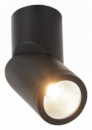 Светодиодный спот ST Luce ST650.442.10