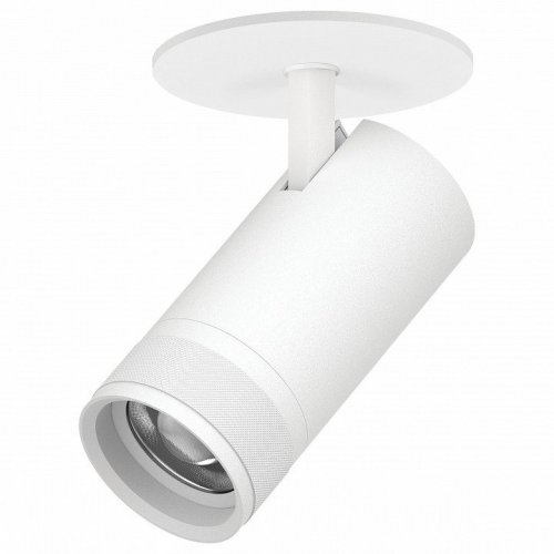 Спот Lightstar Canno Pro C4306RS