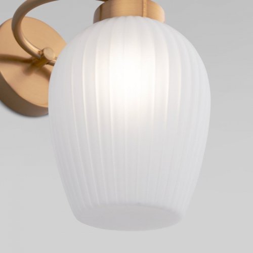 Бра Eurosvet Alva 30184/1 Бра Eurosvet Alva 30184/1