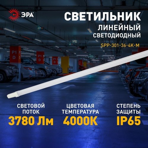 Настенно-потолочный светильник ЭРА SPP-3 SPP-301-36-4K-M Настенно-потолочный светильник ЭРА SPP-3 SPP-301-36-4K-M