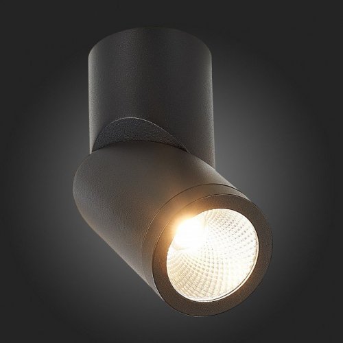 Светодиодный спот ST Luce ST650.442.10 Светодиодный спот ST Luce ST650.442.10