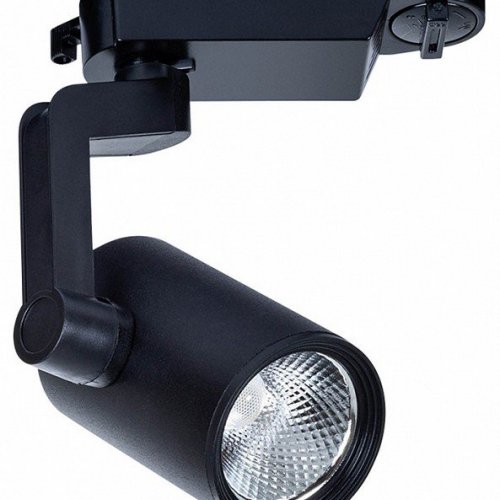 Потолочный светильник Arte Lamp 2310 A2310PL-1BK
