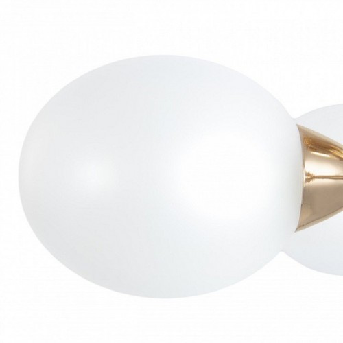 Потолочная люстра Arte Milano Napoli-2420 332420/5 FGD