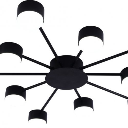 Потолочная люстра Leona 3184-310