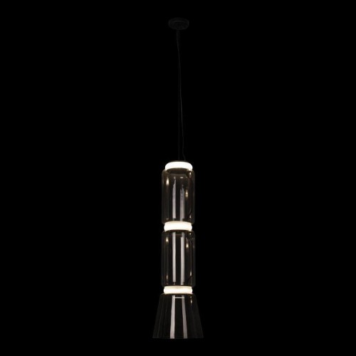 Подвесной светодиодный светильник Loft IT Noctambule 10193/M