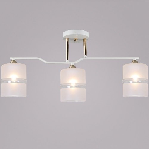 Потолочная люстра  02283-0.3-03 WT+FGD