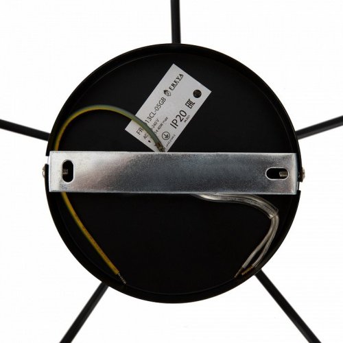 Потолочная люстра Freya New Series 010 FR4013CL-05GB