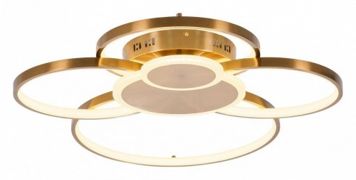 Потолочная люстра MyFar Nora MR1171-CL Потолочная люстра MyFar Nora MR1171-CL