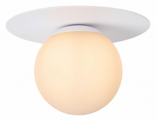 Потолочный светильник Lucide TRICIA 79187/01/31