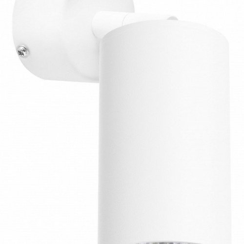 Точечный светильник Lightstar Rullo RB436
