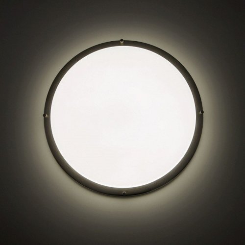 Настенно-потолочный светильник Citilux Бостон CL709501N