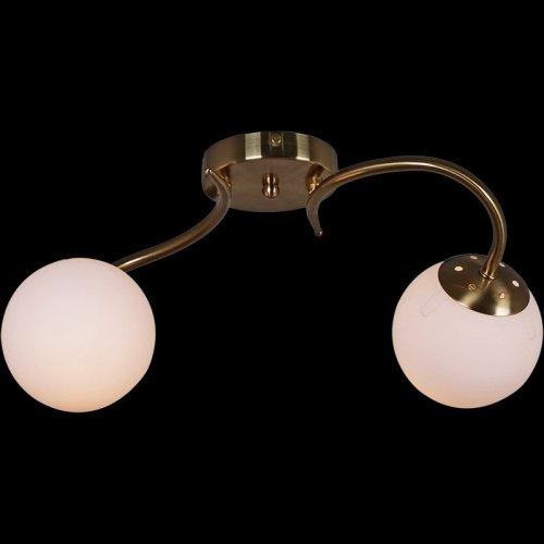 Потолочный светильник Reluce 81724-0.3-02 Потолочный светильник Reluce 81724-0.3-02