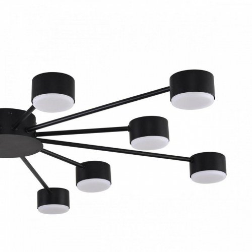 Потолочная люстра Lumion Torina 8344/12C