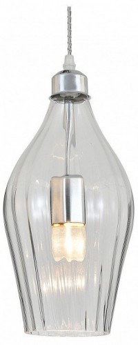 Подвесной светильник Escada Piemonte 11058/1P Clear