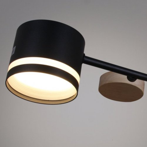 Потолочная люстра  68730-0.3-06 GX53 BK+WOOD