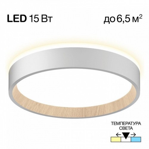 Настенно-потолочный светильник Citilux Etalon CL750180