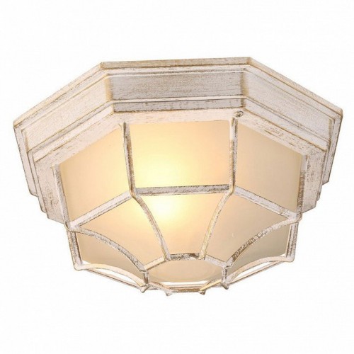 Уличный потолочный светильник Arte Lamp Pegasus A3121PF-1WG
