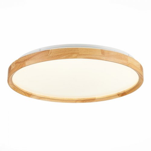 Потолочный светильник Evoluce Delia SLE201382-01