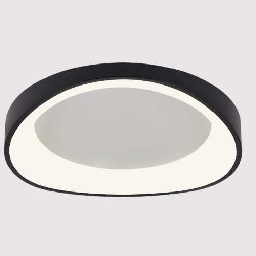 Потолочный светильник Arte Lamp A2698PL-60BK