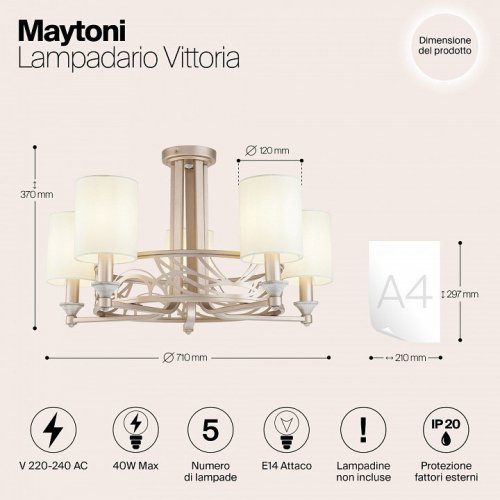 Люстра на штанге Maytoni House H004CL-05BG