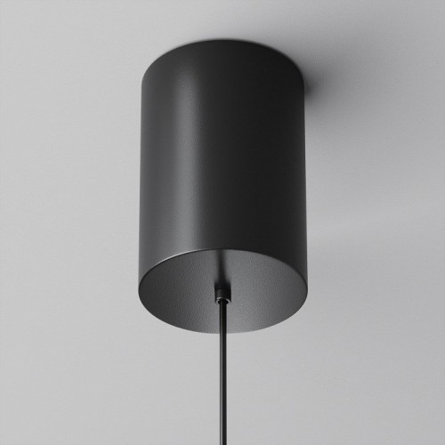 Подвесной светильник Maytoni Plato P076PL-L12W3K-B Подвесной светильник Maytoni Plato P076PL-L12W3K-B