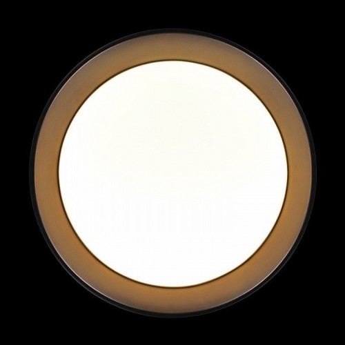 Потолочный светильник Coin 10202 BB