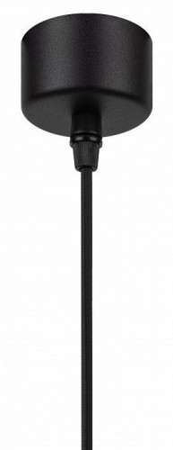 Подвесной светильник Эра PL18 BK/CL Б0058483 Подвесной светильник Эра PL18 BK/CL Б0058483