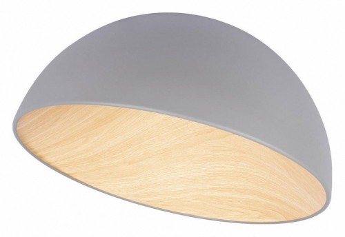 Потолочный светильник Loft IT Egg 10197/500 Grey