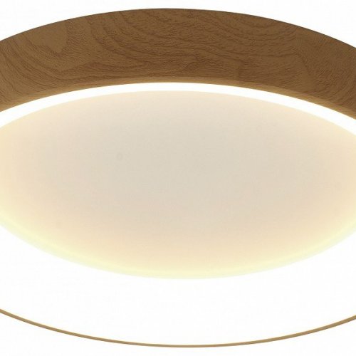 Потолочный светодиодный светильник Mantra Niseko II 8588