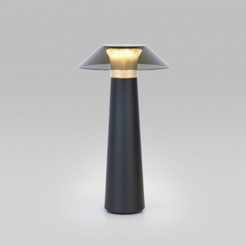 Настольная лампа Elektrostandard Future TL70200 черный a062379