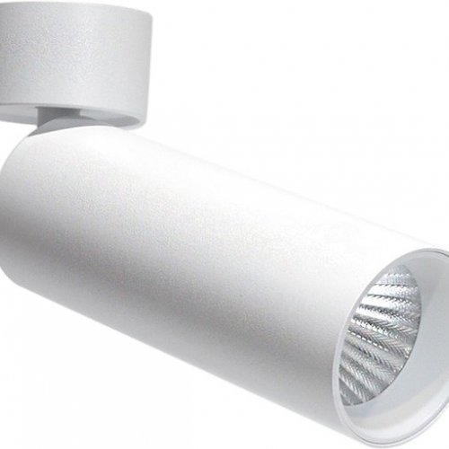 Спот Donolux Rollo DL18895R20W1W ST