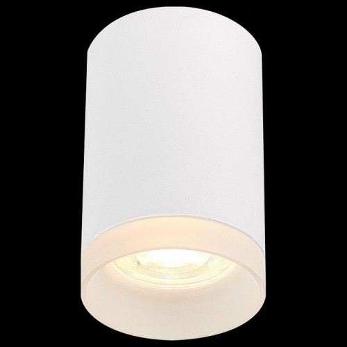 Потолочный светильник ST Luce ST100.502.01 Потолочный светильник ST Luce ST100.502.01