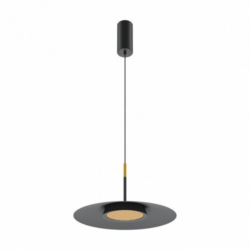 Подвесной светильник Maytoni El MOD041PL-L15B3K1