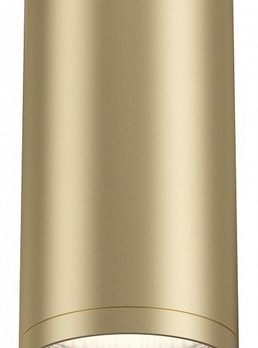 Потолочный светильник Maytoni Focus S C052CL-01MG