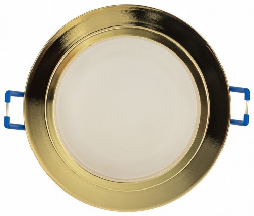 Точечный светильник ЭРА DK99 GD