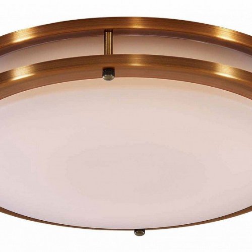 Настенно-потолочный светильник Citilux Бостон CL709503N