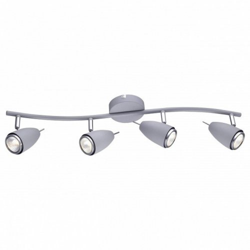 Потолочный светильник Arte Lamp Regista A1966PL-4GY