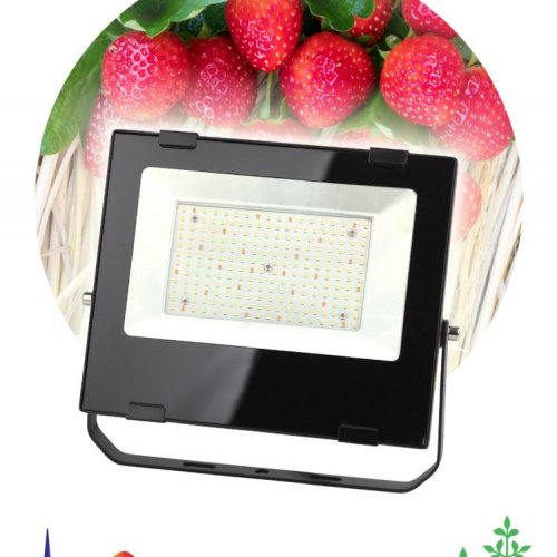 Прожектор светодиодный для растений ЭРА 100W 4000K Fito-100W-Ra90-Led Б0047876 Прожектор светодиодный для растений ЭРА 100W 4000K Fito-100W-Ra90-Led Б0047876